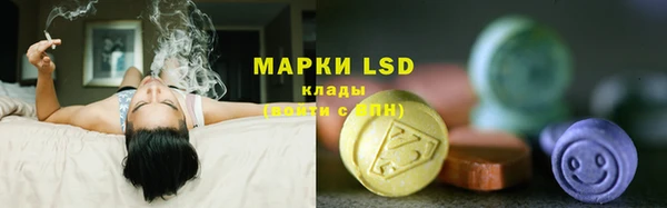 мдпв Володарск