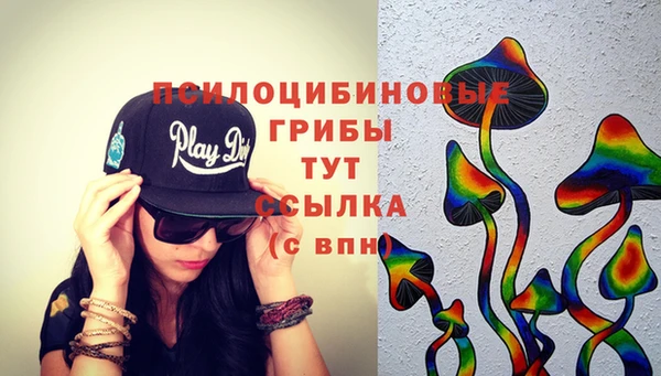 мдпв Володарск
