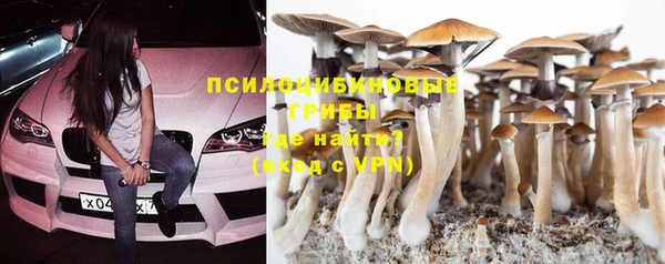 мдпв Володарск
