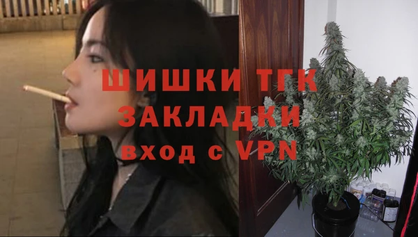 мдпв Володарск