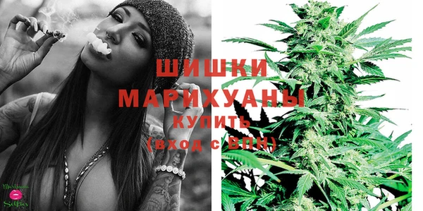 мдпв Володарск