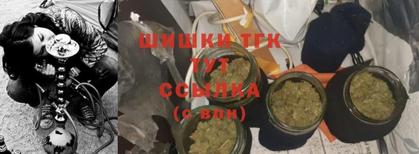 мдпв Володарск