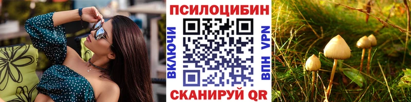 цена Прокопьевск Галлюциногенные грибы GOLDEN TEACHER